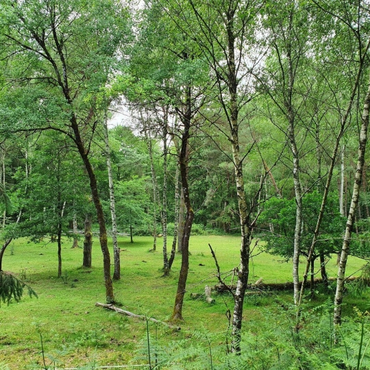  AGENCE DORDOGNE VALLEE : Domaines / Propriétés | SAINT-PRIVAT (19220) | 140 m2 | 283 500 € 