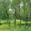  AGENCE DORDOGNE VALLEE : Domaines / Propriétés | SAINT-PRIVAT (19220) | 140 m2 | 283 500 € 