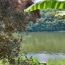  AGENCE DORDOGNE VALLEE : Maison / Villa | SOURSAC (19550) | 65 m2 | 128 400 € 