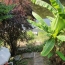  AGENCE DORDOGNE VALLEE : Maison / Villa | SOURSAC (19550) | 65 m2 | 128 400 € 