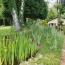  AGENCE DORDOGNE VALLEE : Maison / Villa | SAINT-CIRGUES-LA-LOUTRE (19220) | 55 m2 | 73 000 € 