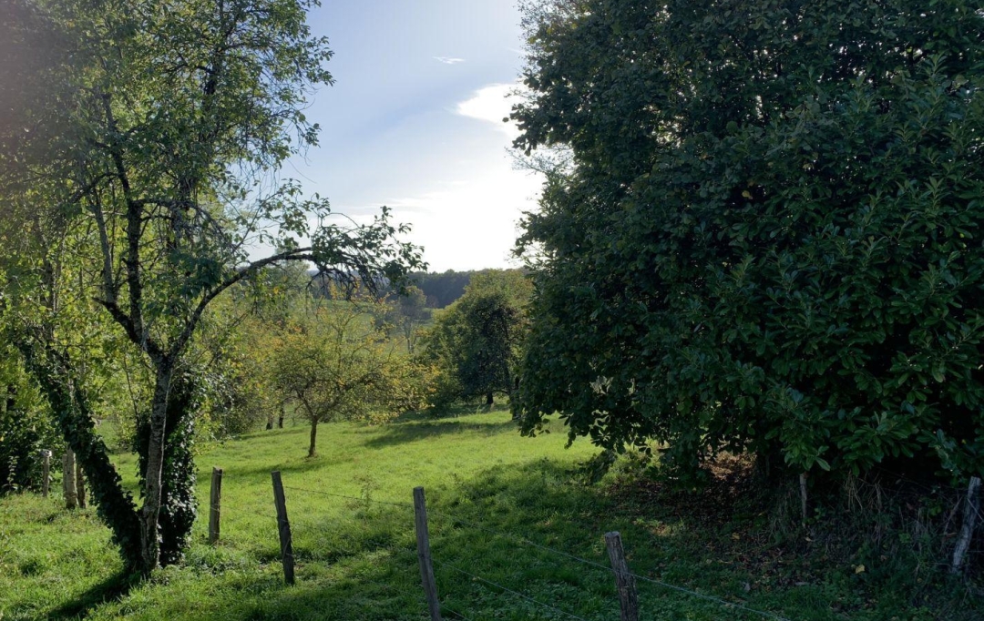 AGENCE DORDOGNE VALLEE : House | RILHAC-XAINTRIE (19220) | 92 m2 | 54 500 € 