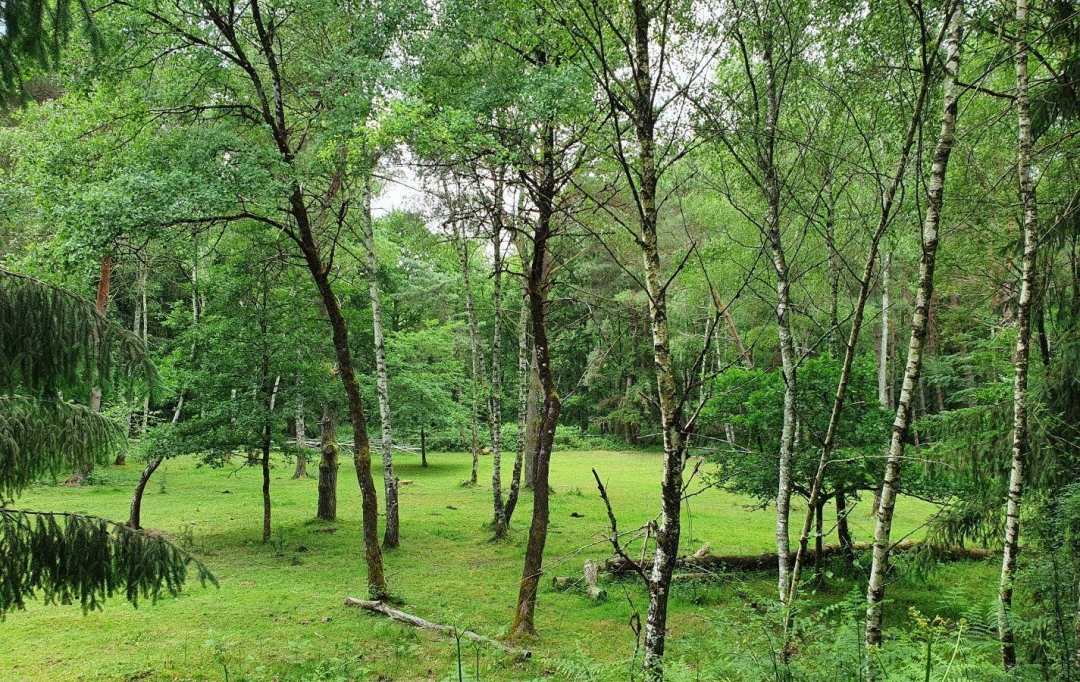 AGENCE DORDOGNE VALLEE : Domaines / Propriétés | SAINT-PRIVAT (19220) | 140 m2 | 283 500 € 