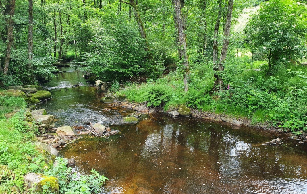 AGENCE DORDOGNE VALLEE : Domaines / Propriétés | SAINT-PRIVAT (19220) | 140 m2 | 283 500 € 