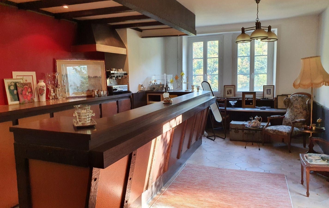 AGENCE DORDOGNE VALLEE : Domaines / Propriétés | SAINT-MERD-DE-LAPLEAU (19320) | 438 m2 | 278 250 € 