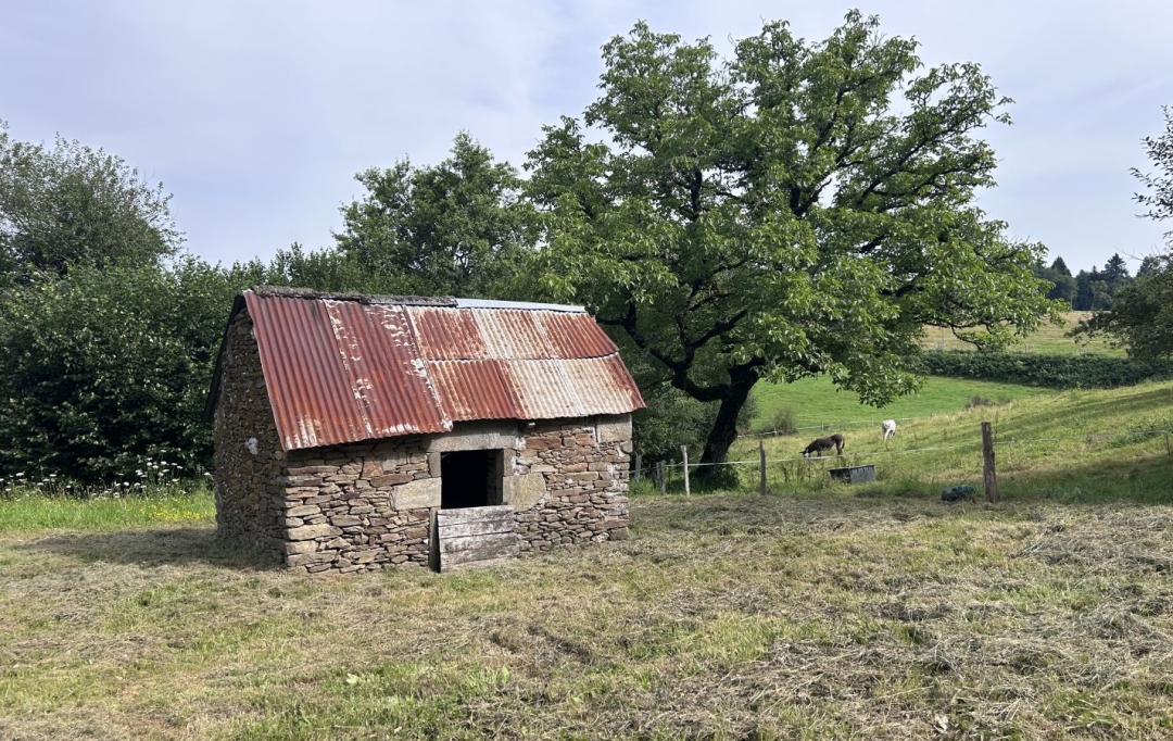 AGENCE DORDOGNE VALLEE : House | SAINT-MERD-DE-LAPLEAU (19320) | 34 m2 | 49 500 € 