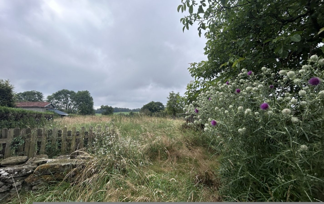 AGENCE DORDOGNE VALLEE : House | PLEAUX (15700) | 63 m2 | 118 000 € 