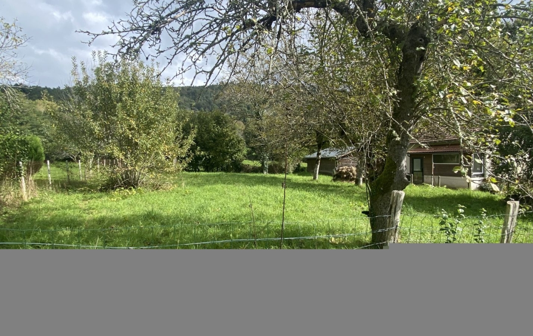 AGENCE DORDOGNE VALLEE : Ground | ARGENTAT-SUR-DORDOGNE (19400) | 0 m2 | 17 000 € 