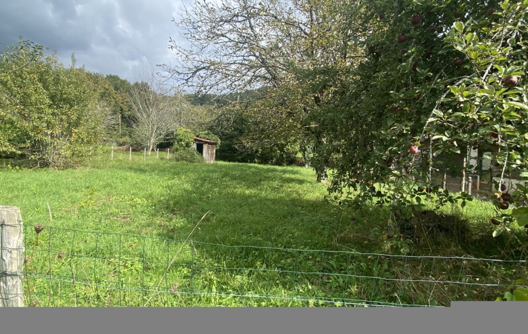 AGENCE DORDOGNE VALLEE : Ground | ARGENTAT-SUR-DORDOGNE (19400) | 0 m2 | 17 000 € 