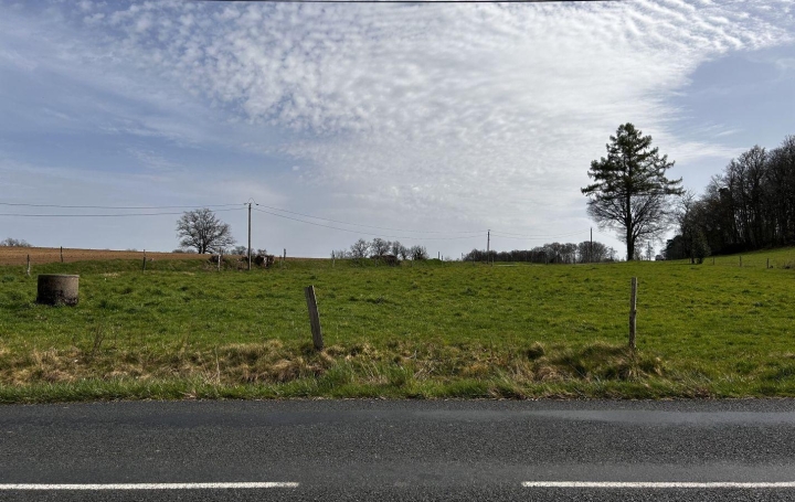  AGENCE DORDOGNE VALLEE Terrain | BASSIGNAC-LE-BAS (19430) | 0 m2 | 29 700 € 